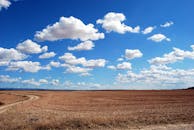 Brown Field and Blue Sky